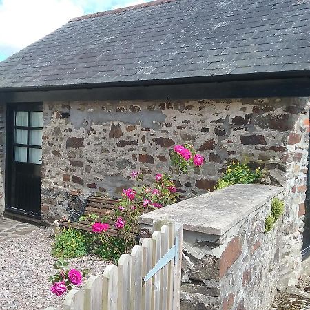 فيلا The Old Workshop Knowstone المظهر الخارجي الصورة